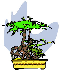 bonsai-i-karlikovoe-derevo-animatsionnaya-kartinka-0039