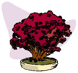 bonsai-i-karlikovoe-derevo-animatsionnaya-kartinka-0044