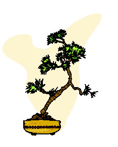 bonsai-i-karlikovoe-derevo-animatsionnaya-kartinka-0046