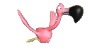flamingo-animatsionnaya-kartinka-0007