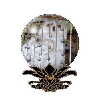 garri-potter-animatsionnaya-kartinka-0014