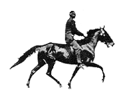 https://www.gifki.org/data/media/1484/naezdnik-i-vsadnik-animatsionnaya-kartinka-0035.gif