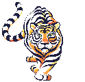 tigr-animatsionnaya-kartinka-0013