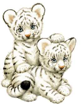 tigr-animatsionnaya-kartinka-0028
