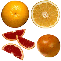 greipfrut-animatsionnaya-kartinka-0004