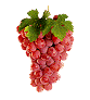 vinograd-animatsionnaya-kartinka-0023