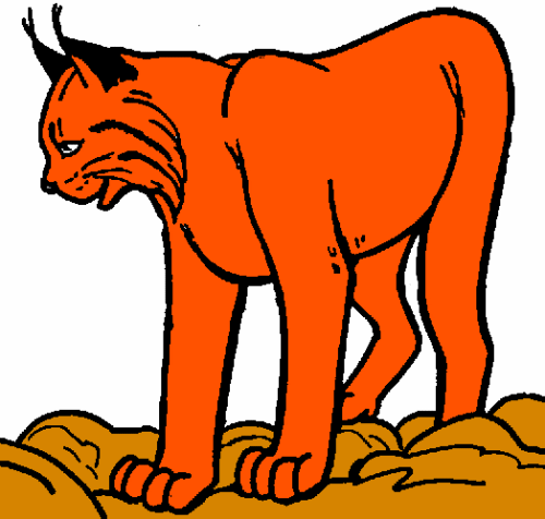 rys-animatsionnaya-kartinka-0005