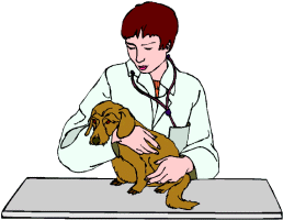 veterinar-animatsionnaya-kartinka-0030