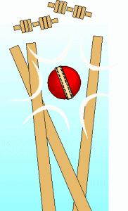 kriket-animatsionnaya-kartinka-0014