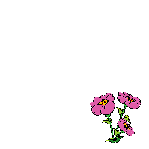 pchela-animatsionnaya-kartinka-0011