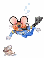 snorkling-ili-plavanie-s-maskoy-i-trubkoy-animatsionnaya-kartinka-0001