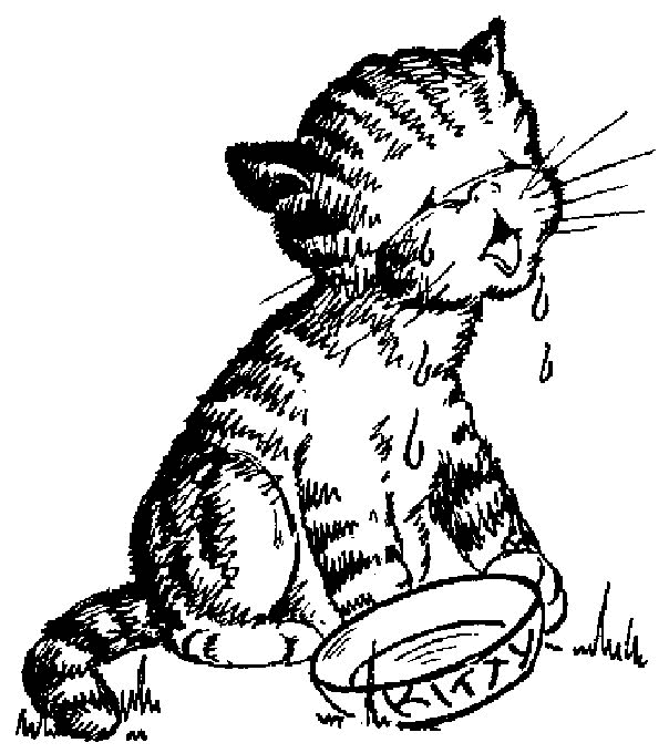 Как нарисовать кота который плачет