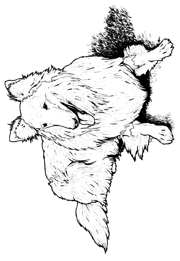 raskraska-sobaka-animatsionnaya-kartinka-0012