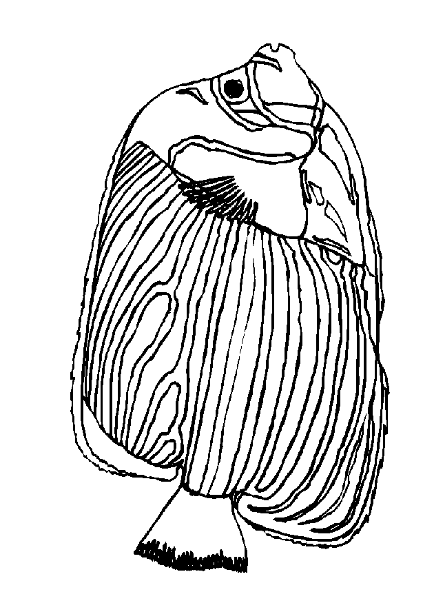 raskraska-ryba-animatsionnaya-kartinka-0010