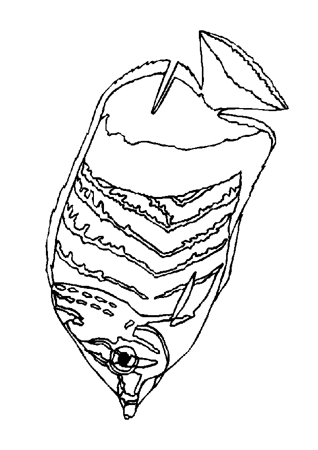 raskraska-ryba-animatsionnaya-kartinka-0016