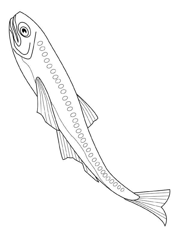 raskraska-ryba-animatsionnaya-kartinka-0028