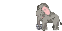 slon-animatsionnaya-kartinka-0503