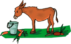 osel-animatsionnaya-kartinka-0086