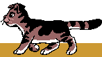 Кот ходит рисунок