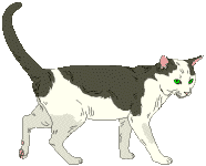 Кот ходит рисунок