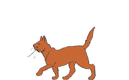 Кот ходит рисунок