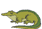 krokodil-animatsionnaya-kartinka-0022