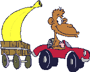 shimpanze-animatsionnaya-kartinka-0051