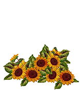 panda-animatsionnaya-kartinka-0041