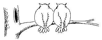 sova-animatsionnaya-kartinka-0012