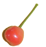 vishnya-animatsionnaya-kartinka-0013