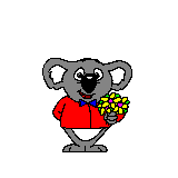 koala-animatsionnaya-kartinka-0017