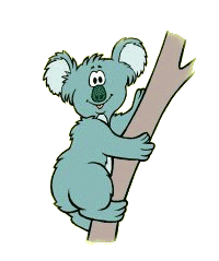 koala-animatsionnaya-kartinka-0021