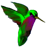 kolibri-animatsionnaya-kartinka-0040