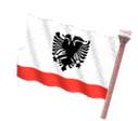 flag-albanii-animatsionnaya-kartinka-0015