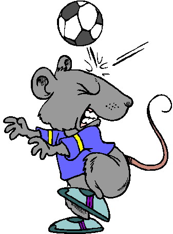 zhivotnoe-i-sport-animatsionnaya-kartinka-0185